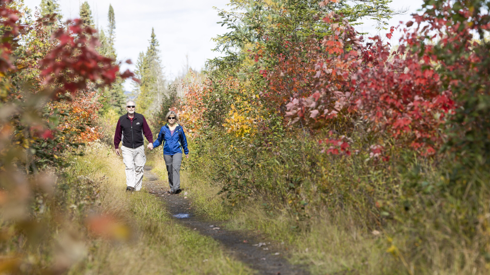 ​​​​A couple walking down the Bloomingdale Bog Trail with fall scenery.