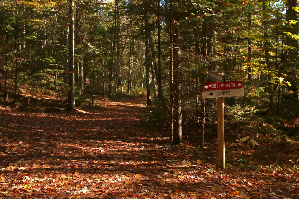 A sign in between trails at the Paul Smith's Visitor Interpretation Center.