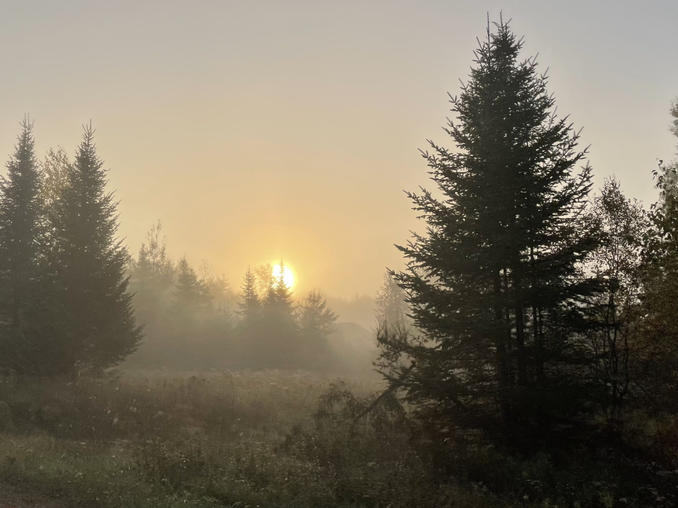 A misty morning in a grey valley.