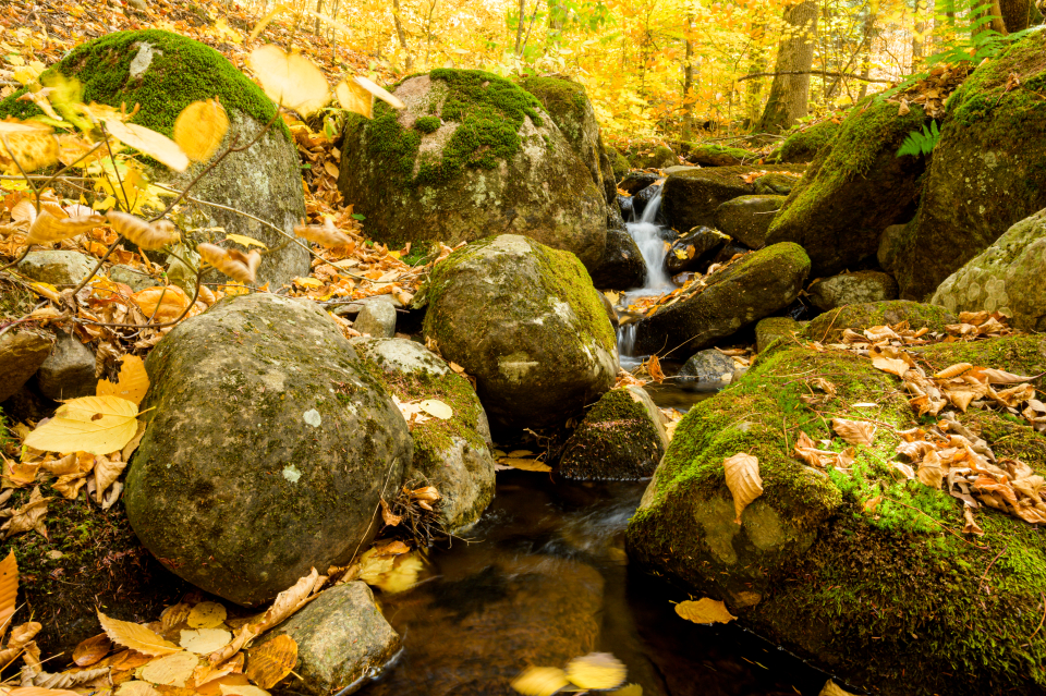 A small stream falls between rocks in autumn.