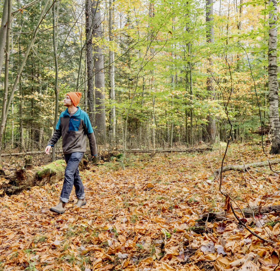 A man walks through a leafy forest.