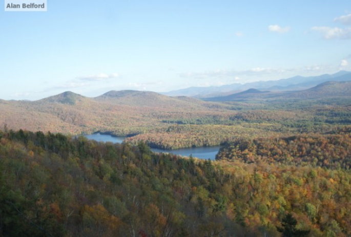 McKenzie Pond View