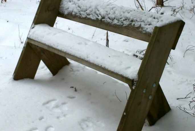 Leopold bench, in natural habitat