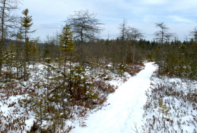 The easiest of trails have some great vistas