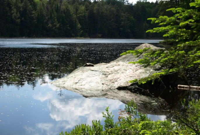 Middle Pond