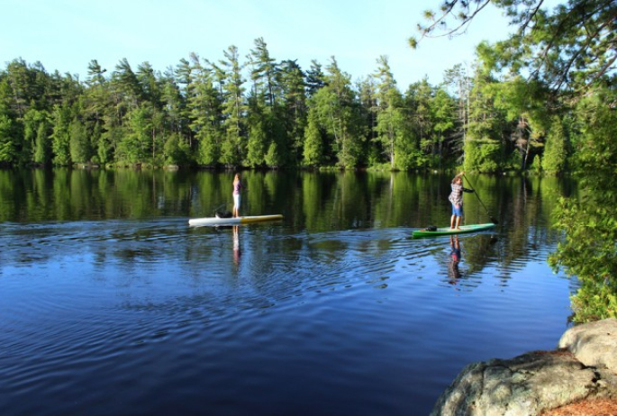 SUP's paddling by one morning