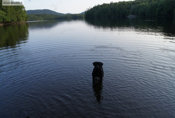 Wren Put-in Moose Pond