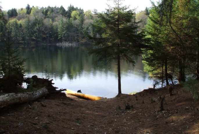 Grass Pond