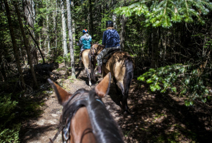 each horse has their own concept of "personal space"