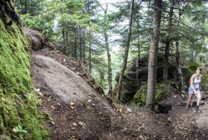 Hiking Ampersand