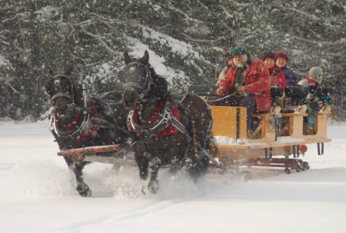 Paul Smiths College Draft Horses, Sleigh