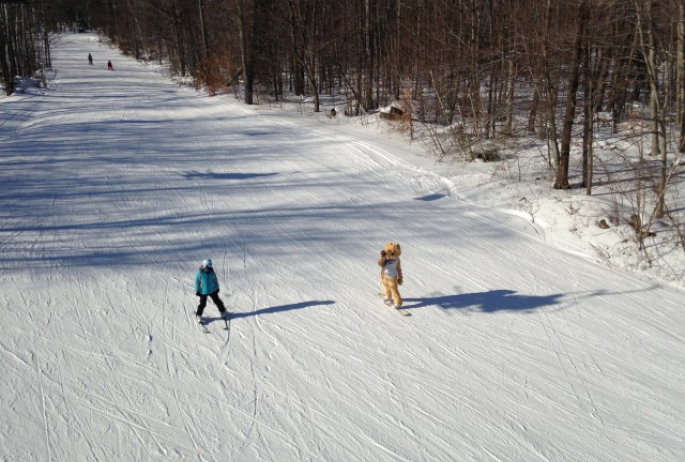 A skiing bear aka the Titus mascot:)