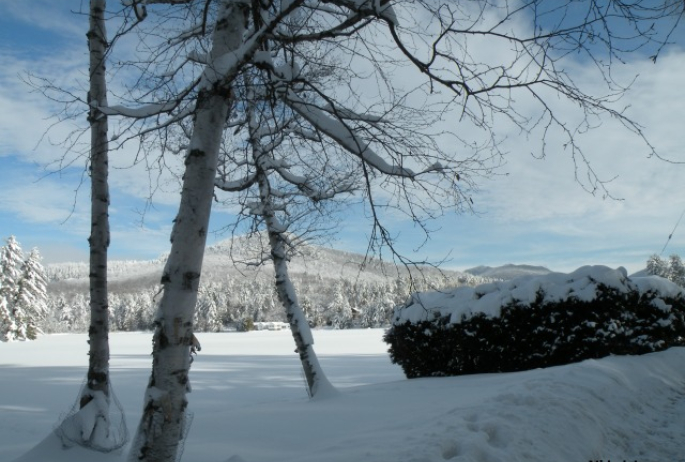 that expanse of white is the pond... we don't have many open fields in the Adirondacks!