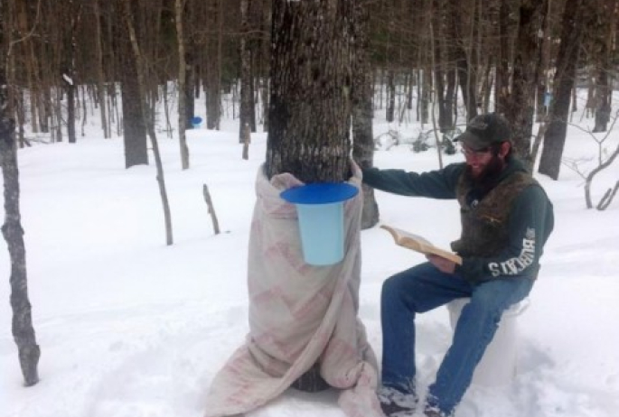 We make the finest Maple syrup in the world. Because we baby our trees.