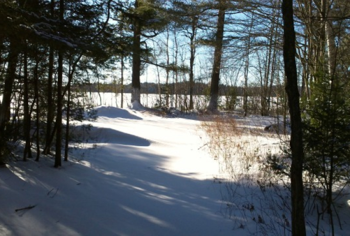 Our Lake Clear Beach in winter. Blue sky, mountain air, pristine snow. Check!