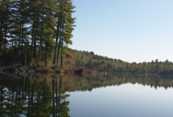 Little Clear Pond in the early morning stillness