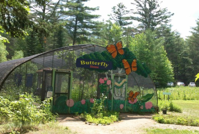 the Butterfly House lets us exist in their world, with many fun facts to share!