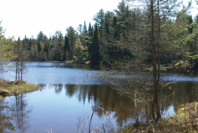 the Saranac River flows from Denny Park all the way to Bloomingdale. A fine morning or afternoon on the water!