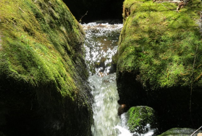 Brook along the Ampersand Mountain Trail