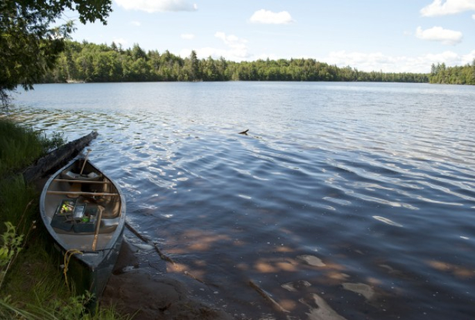 A Favorite Swimming Spot