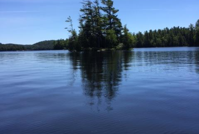 The green leaves and blue water which were the subject of our summer dreams.