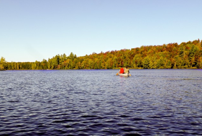 The sun was just getting up in the sky and provided us with our first glimpse of REAL fall colors along the north edge of Middle Pond!