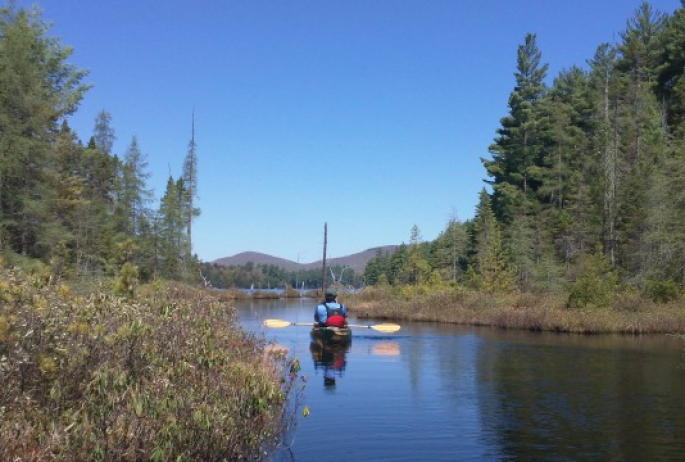 This marsh trail which leads to the pond is a stunning stretch