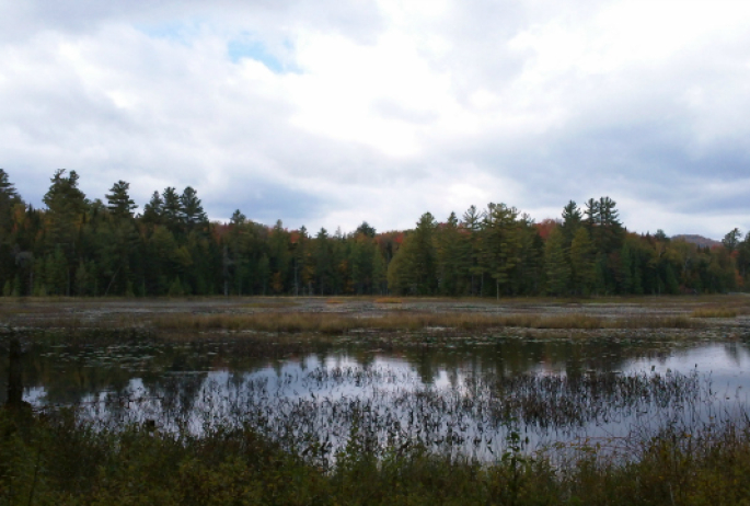 Heron Marsh Trail is only one of the twenty five miles of mostly flat trails at the VIC