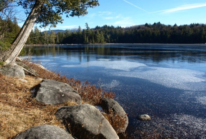 Rock Pond