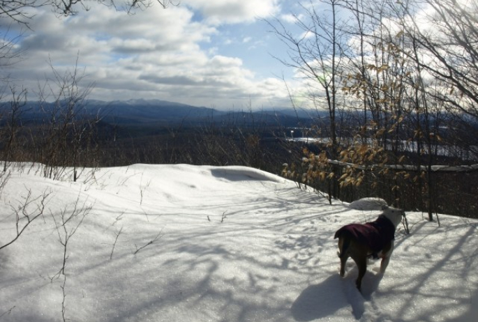 Summit of Jones