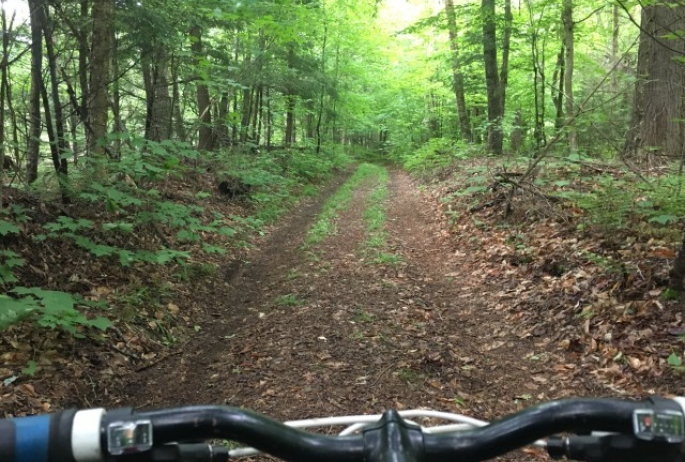 riding in the woods