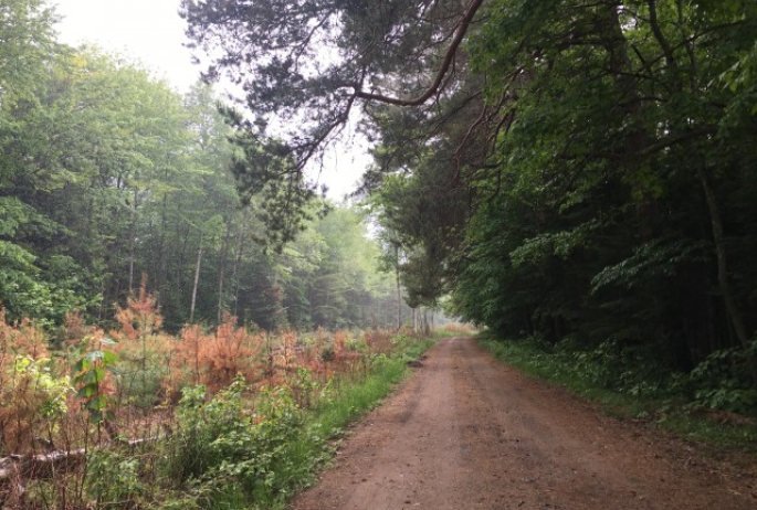 Road next to train tracks