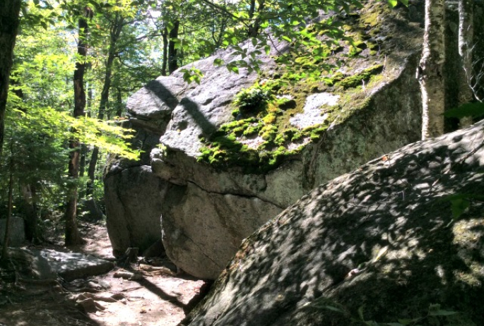 This must be the northern side! Many of the rocks have whole forests of moss on certain sides.