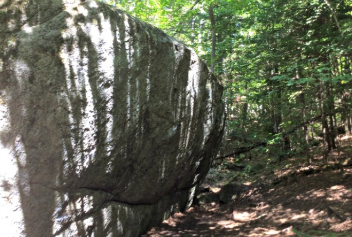 The seams and protrusions that are the delicate stuff of rock climbing.