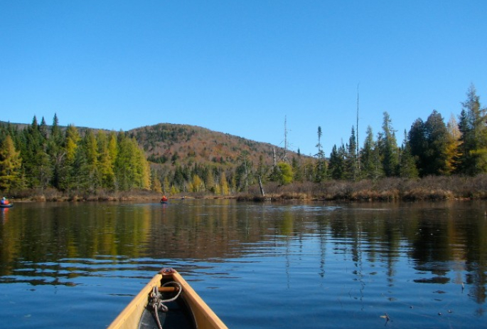 Go where there is only birdsong, and see only skylines that nature has made.