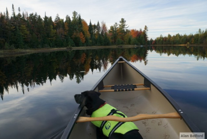 Wren - Lake Clear Outlet