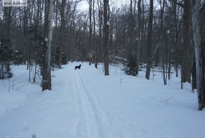 Wren - Fish Pond Trail