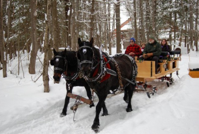 The sleigh's runners let the wagon glide over the top of the snow, instead of getting bogged down in it.