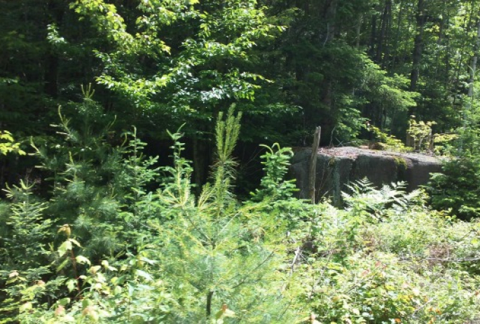 perhaps the easiest way ever to observe deep woods glacial erratic