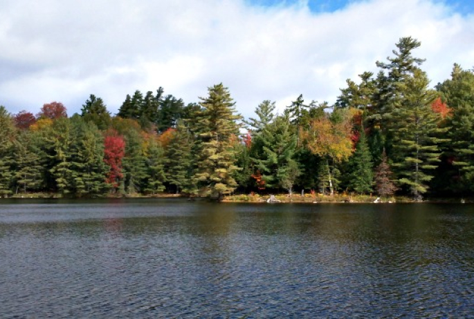 Church Pond is a perfect little stop for photos, paddling, or both!