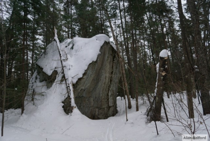 Glacial Erratic