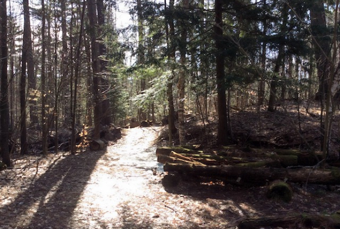 The Pines are a part of Saranac Lake's history as a famous curing center.