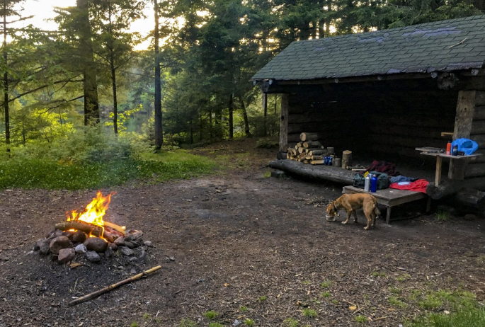 Home sweet lean-to.