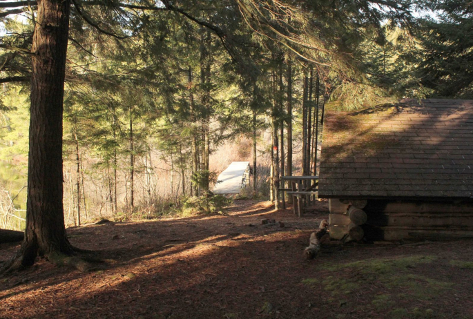 An Adirondack lean-to is a perfect place to spend an afternoon.