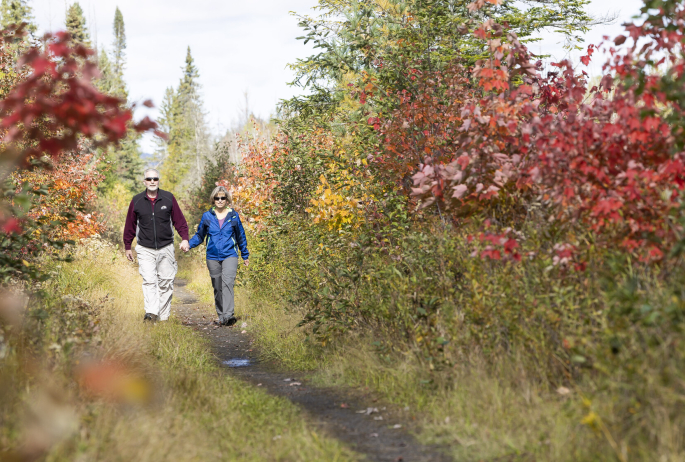 ​​​​A couple walking down the Bloomingdale Bog Trail with fall scenery.