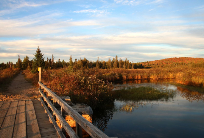 Bloomingdale Bog Trail featuring a bridge overlooking the water and fall foliage on the mountains.