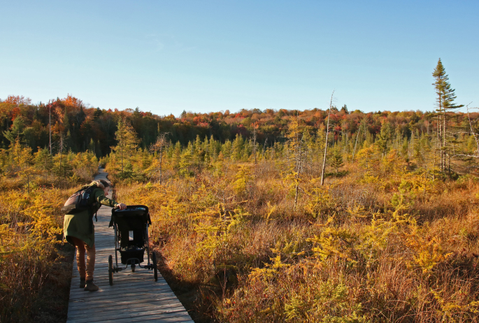 A woman and a children's stroller on a trail with fall scenery.