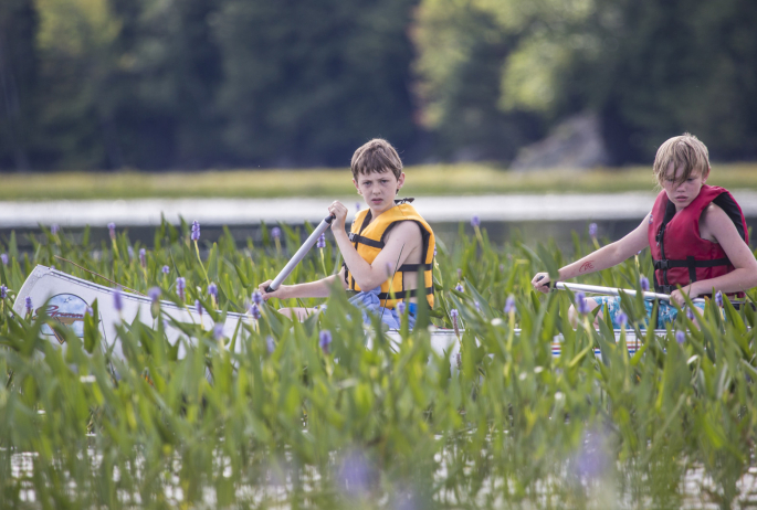 two boys canoeing through purple aquatic flowers