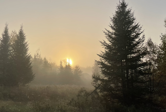 A misty morning in a grey valley.