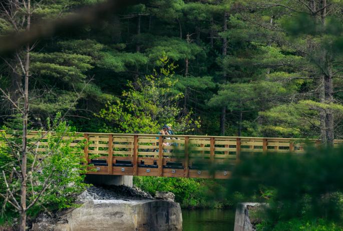 Two people ride bikes over a bridge tucked in the woods.